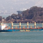 Pacific Basin: Tight Dry Bulk Market Conditions Until End of 2019