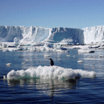 As Arctic Ice Melts, Polluting Ships Stream Into Polar Waters