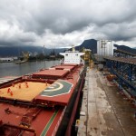 Brazil’s January soy shipments to China seen slumping – shipping data