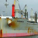 Thoresen Shipping acquires bulker
