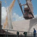Argentine port blast kills one