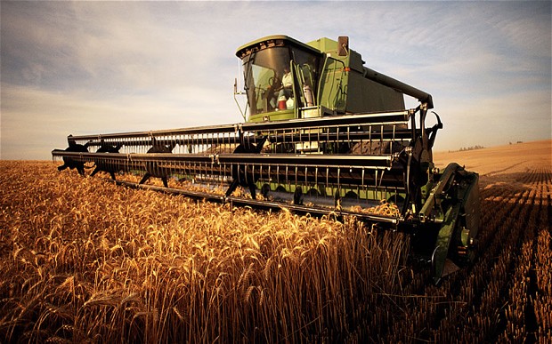 Demand and new sales of Russian wheat fade on supply concerns