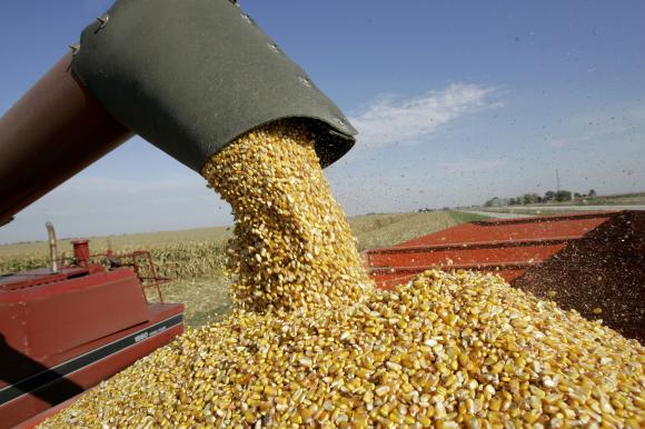 Global corn buyers may finally be headed for US supply as competition wanes