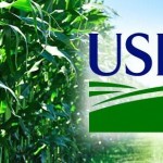 U.S. wheat stocks biggest since ’87; corn, soy above 2015 – USDA