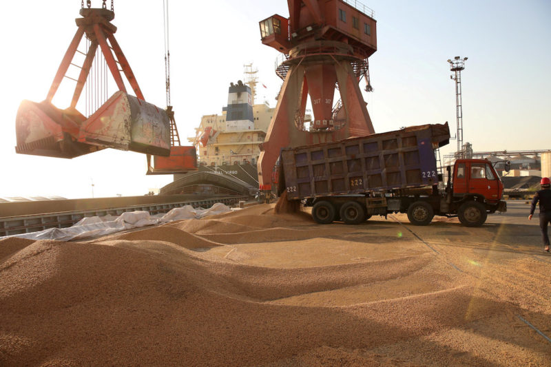 Brazil’s soybean exports seen lower on year in July