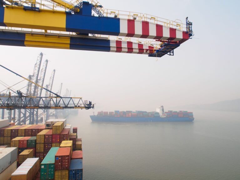 World’s biggest container ship skips India in blow to trade aims