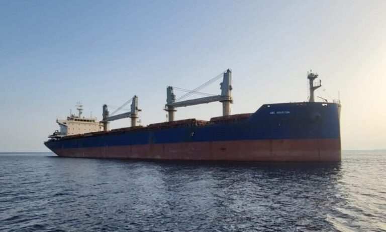 Pelagic Partners buys handysize bulk carrier
