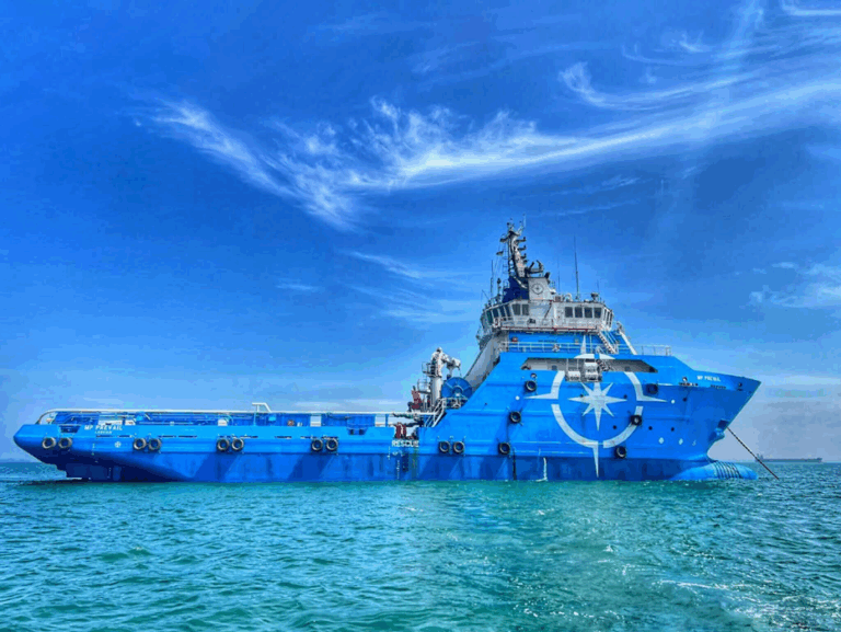 Halom Investments buys 150 million shares in Marco Polo Marine