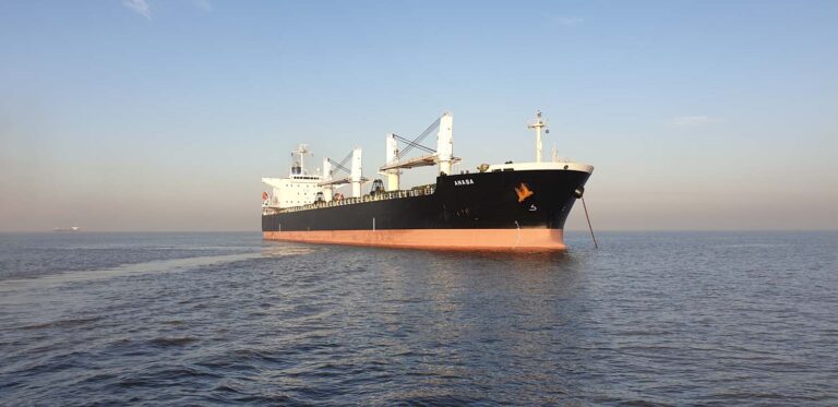 Almi Marine orders bulker pair at NACKS