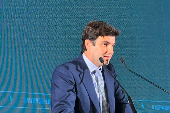 martinos_minerva