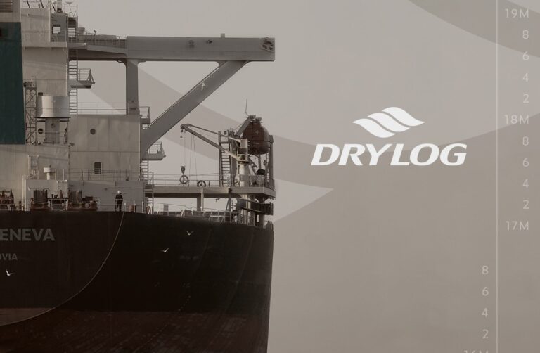 DryLog reports loss in FY2025